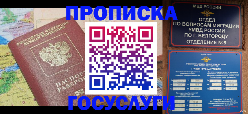 прописка регистрация в Ненецком АО